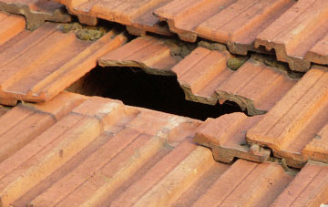 roof repair Dalness, Highland