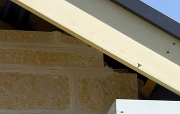 soffit repair Dalness